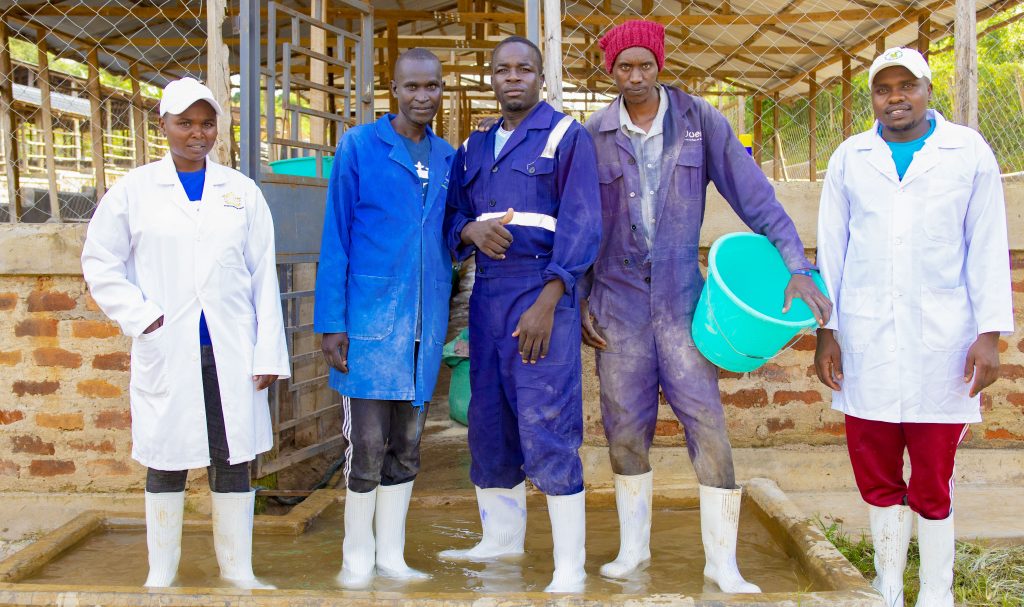 Lucimi Group farm operations