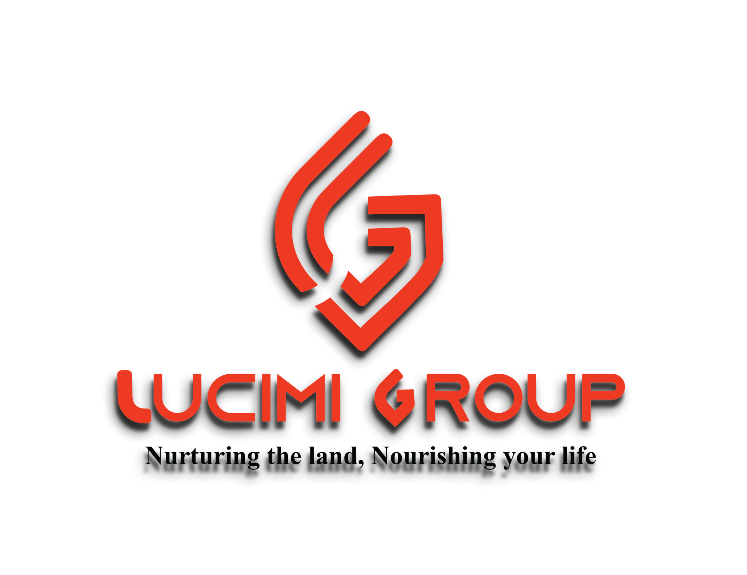 Lucimi Group